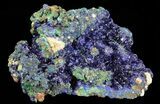 Sparkling Azurite Crystal Cluster with Malachite - Laos #69726-1